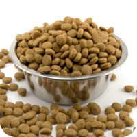 Be careful not to overfeed. Generally, portion as much as the puppy can consume in 5 to 10 minutes at a given meal.
