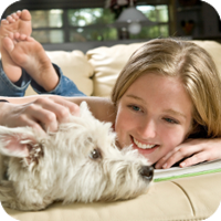 The AVMA strongly recommends that for a healthier, happier pet you consider keeping your pets indoors only.